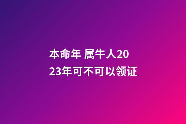 本命年 属牛人2023年可不可以领证